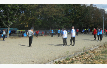 Bienvenue sur le site officiel du comité régional Pétanque jeu provencal des pays de la loire